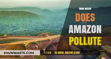 Amazon's Pollution Problem: The True Cost of Online Shopping
