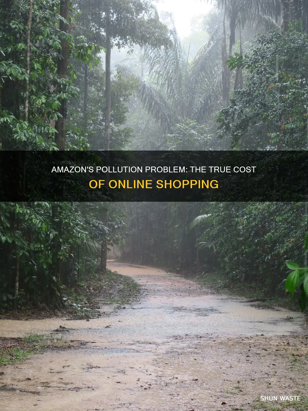 how mcuh does amazon pollute