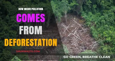 Deforestation's Pollution: A Global Crisis