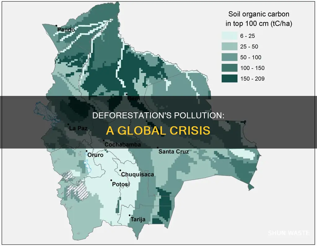 how mcuh pollution comes from deforestation