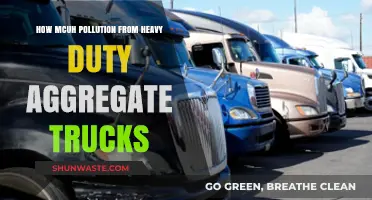 Heavy-Duty Trucks: The Pollution They Cause