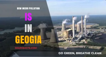 Georgia's Pollution Problem: A Comprehensive Overview