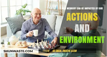 Actions, Environment, and Memory: How Daily Choices Shape Recall