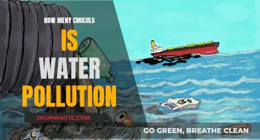 Unveiling the Impact: Water Pollution's Hidden Costs