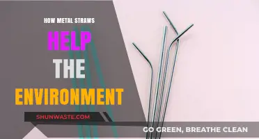 Eco-Friendly Sipping: How Metal Straws Reduce Plastic Waste and Protect Nature
