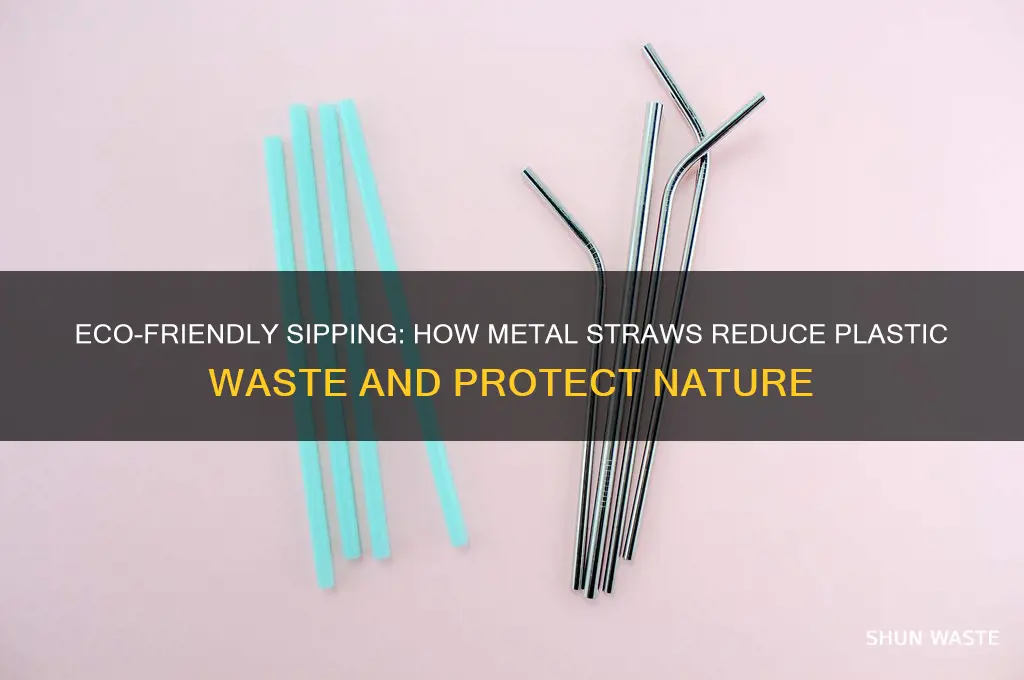 how metal straws help the environment
