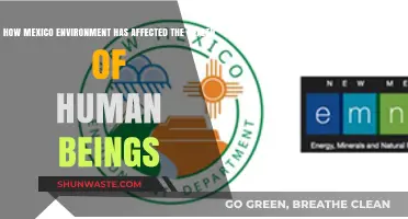 Mexico's Environment: Impacts on Human Health and Well-being