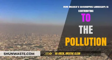 Mexico's Geography: A Complex Pollution Puzzle
