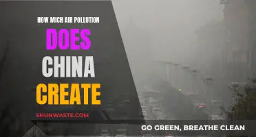 Air Pollution Crisis: China's Contribution to Global Woes