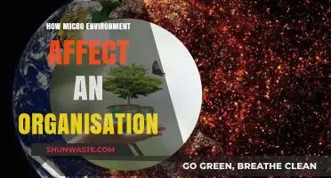 Micro Environment's Impact: Shaping Organizational Success and Challenges
