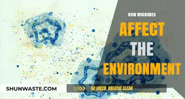 Microbial Impact: How Tiny Organisms Shape Our Environment