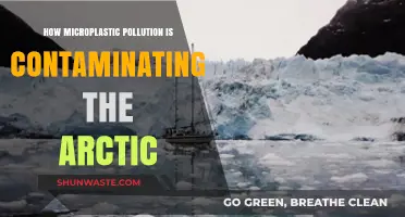 Microplastics Invade the Arctic: A Pollution Crisis