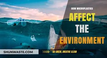 Microplastics' Environmental Impact: Unseen Pollution Threatening Ecosystems and Wildlife