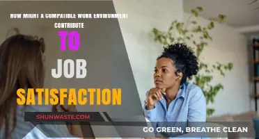 Fostering Job Satisfaction: The Impact of a Compatible Work Environment
