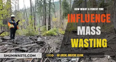 Forest Fires and Landslides: Unraveling the Connection to Mass Wasting