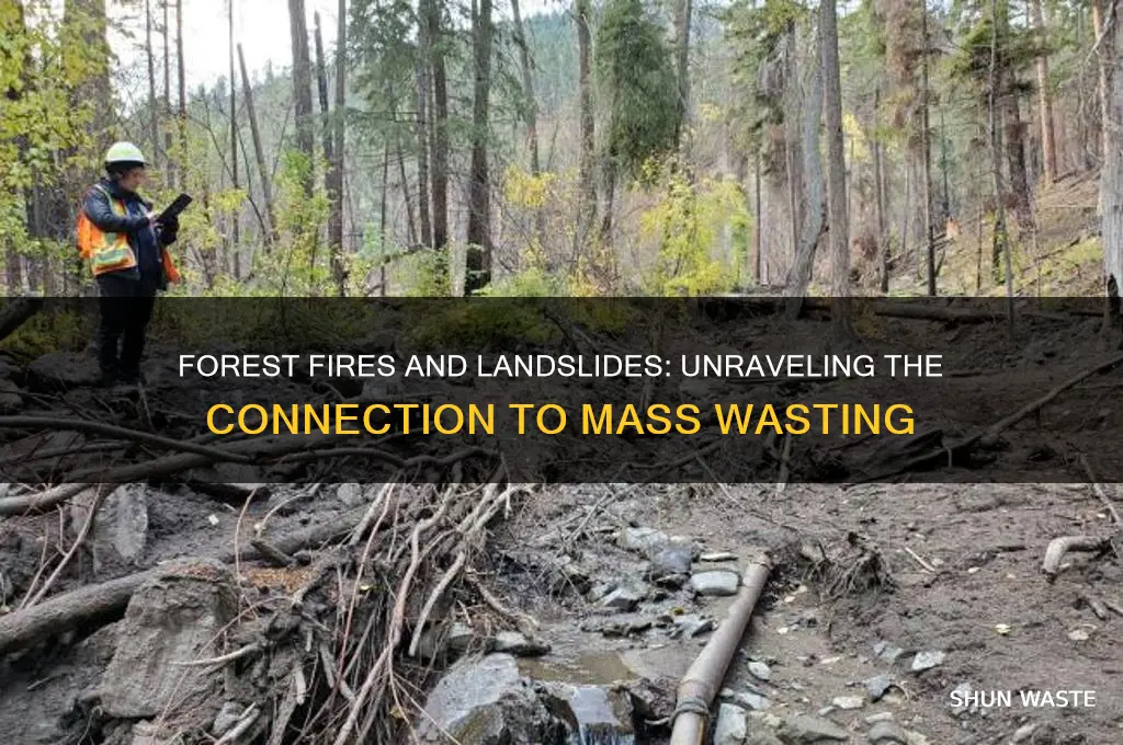 how might a forest fire influence mass wasting