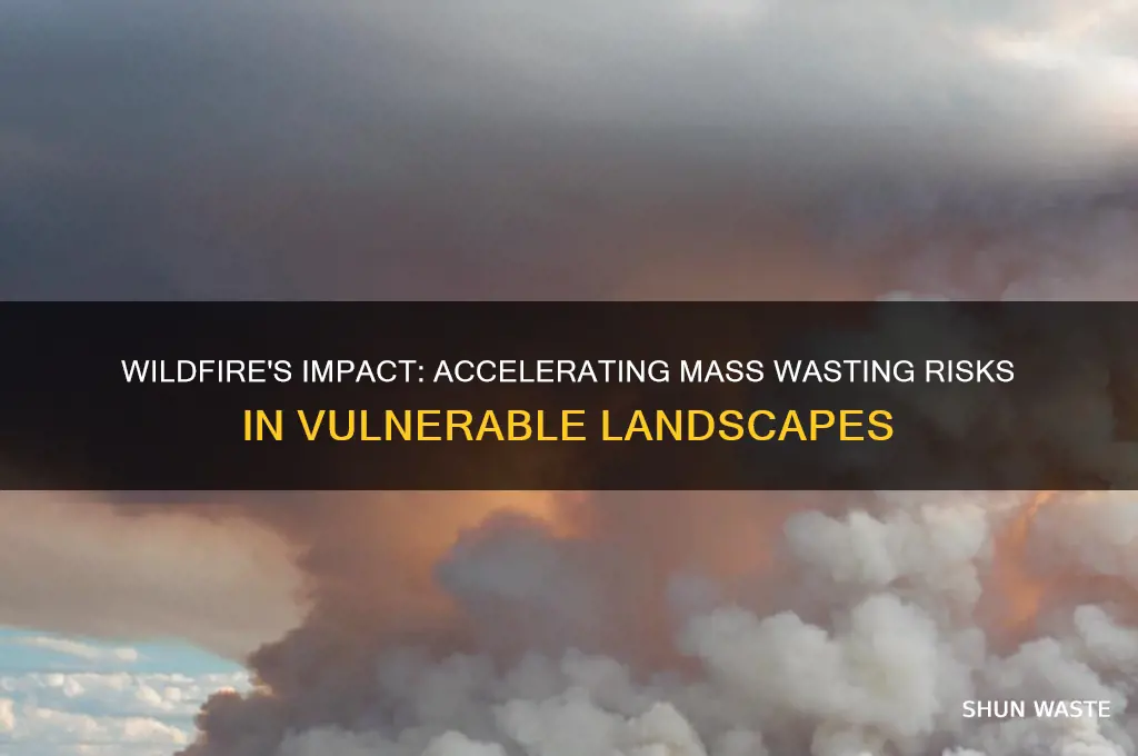 how might a wildfire influence mass wasting