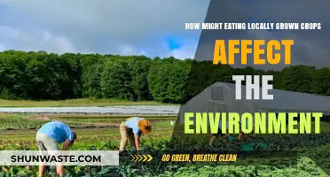Eating Locally Grown Crops: Environmental Benefits and Sustainable Impact