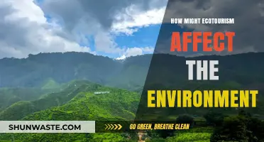 Ecotourism's Environmental Impact: Balancing Conservation and Sustainable Travel