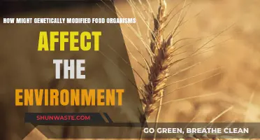 Genetically Modified Foods: Environmental Impact and Ecosystem Concerns Explored