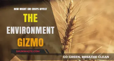 Environmental Impact of GM Crops: Benefits, Risks, and Gizmo Insights