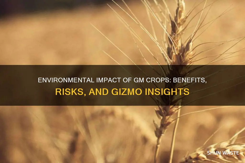 how might gm crops affect the environment gizmo