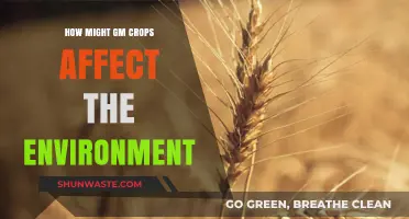 Environmental Impact of GM Crops: Benefits, Risks, and Sustainability