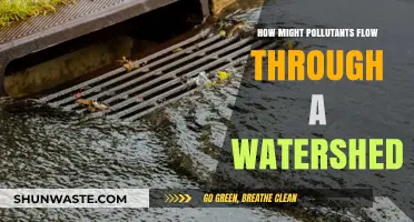 Tracking Pollutants: Flow Through Watersheds