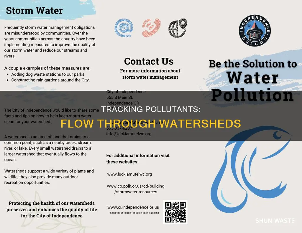 how might pollutants flow through a watershed