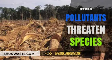 The Toxic Threat: Pollutants Endanger Species