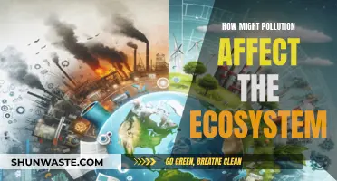 Pollution's Impact: Understanding Ecosystem Disruptions and Threats