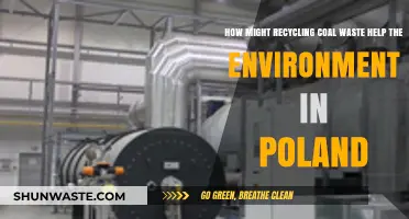 Recycling Coal Waste: A Green Solution for Poland's Environmental Challenges