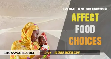 Mother's Environment: Shaping Food Choices and Family Nutrition Habits
