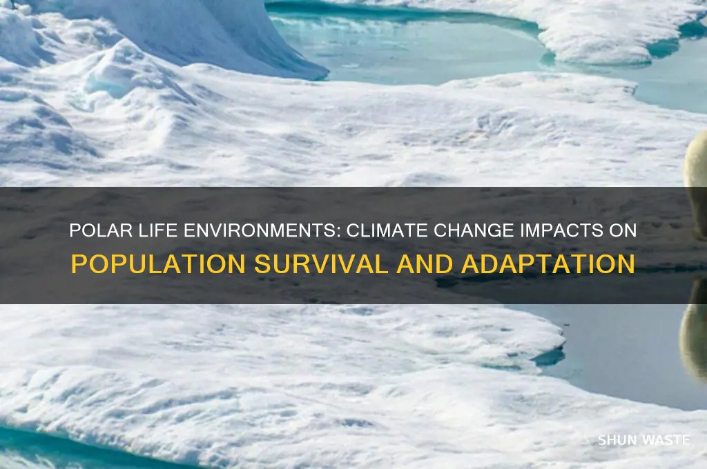 how might the polar life environments population be affected
