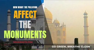 Pollution's Impact on Monuments: A Dire Warning