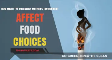 Environmental Influences on Pregnant Mothers' Food Preferences and Choices