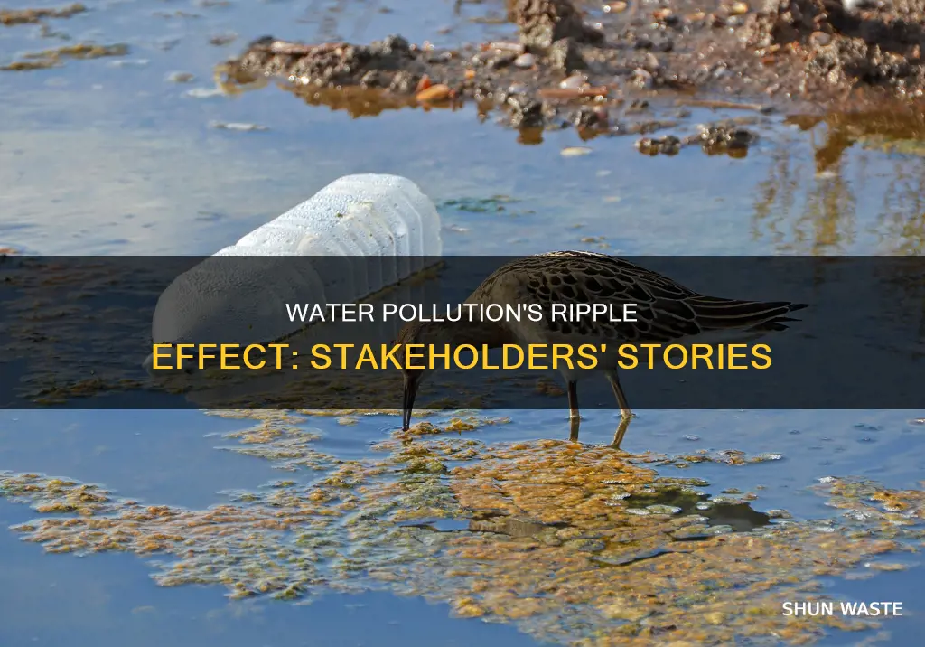 how might the water pollution impact different stakeholders