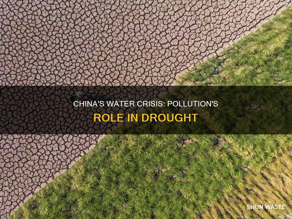 how might water pollution drive water scarcity in china