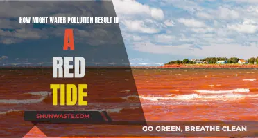 Red Tide: The Hidden Threat of Water Pollution