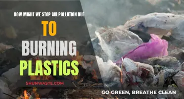 Stopping Air Pollution: Combating Plastic Burning