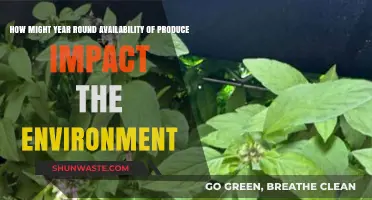Year-Round Produce: Environmental Impacts of Constant Availability Explored