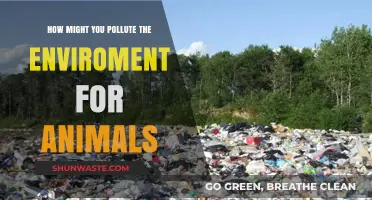 Human Actions: Poisoning Our Animals' Environment
