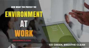 Sustainable Workplace Practices: Simple Steps to Protect the Environment at Work