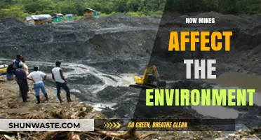 Mining's Environmental Impact: Uncovering the Devastating Effects on Ecosystems