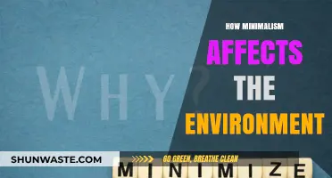Minimalism's Green Impact: How Less Stuff Benefits Our Planet