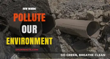 Mining's Environmental Impact: A Toxic Legacy