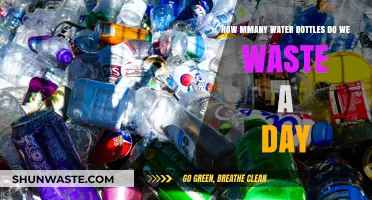 Daily Water Bottle Waste: Shocking Numbers and Sustainable Solutions