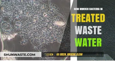 Treated Wastewater Bacteria Levels: Understanding Safety and Environmental Impact
