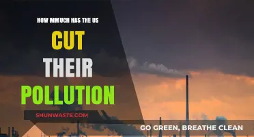 US Pollution Reduction: Significant Progress or Empty Promises?