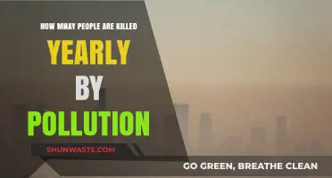 Fatal Pollution: Yearly Death Toll